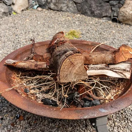 Cork House - Fernandes *